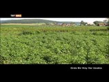 Orda Bir Köy Var Uzakta (Başkurdistan/Ufa) - TRT Avaz