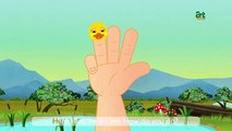 Five Little Ducks - Song - ♥ Daddy Finger - Best Nursery Rhymes and Songs for Children - artnutzz TV