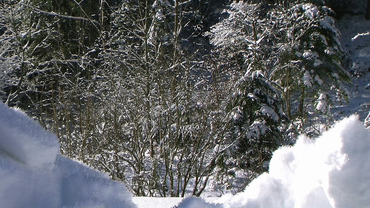 Karlgraben im Winter