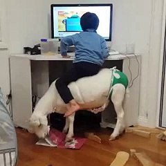 WTF _ WTF _ WTF _ WTF _ WTF _