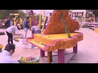 Azerbaycan'da Gül Bayramı Hazırlıklarının En Özel Anları - Can Azerbaycan - TRT Avaz