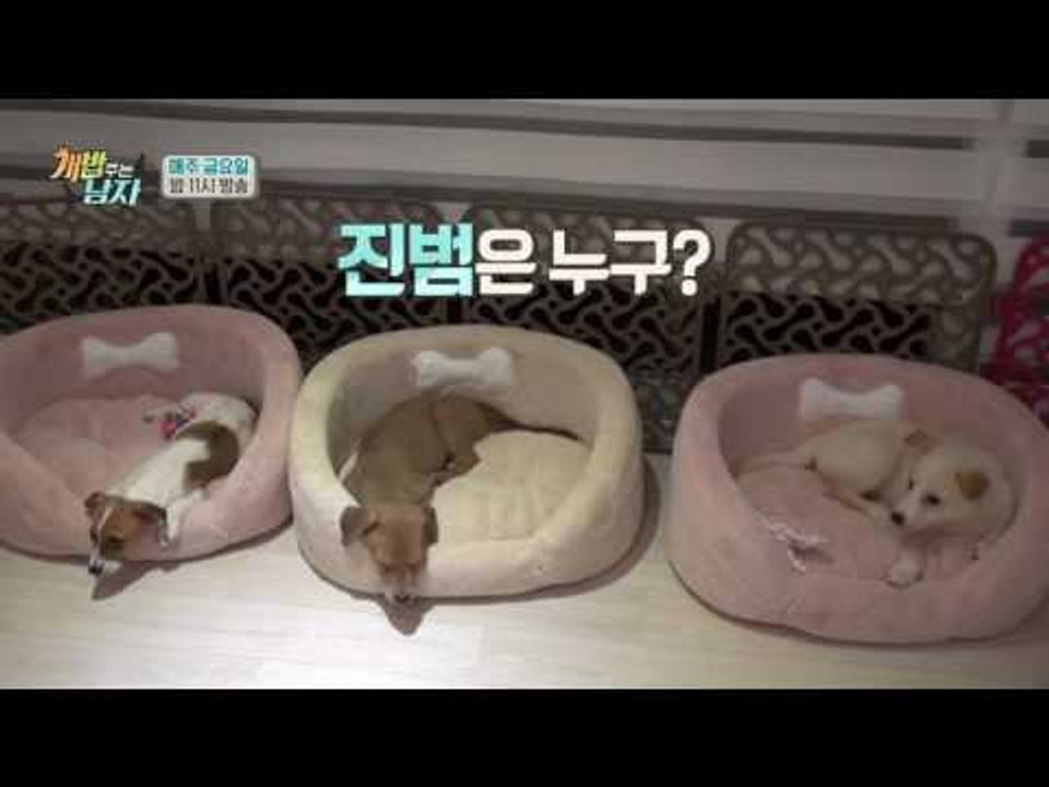 [웹오리지널] 소녀탐정 아오아(IOI), 밀실 응가 사건의 전말