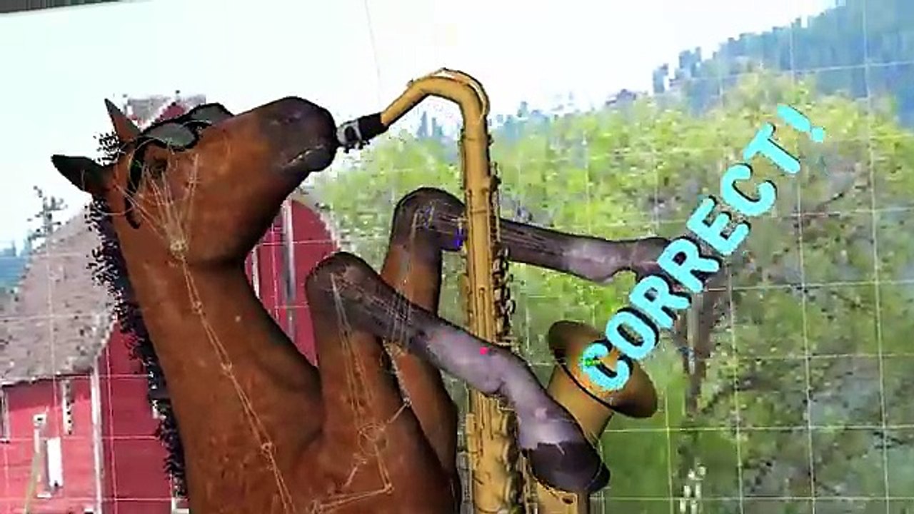 You're Correct Horse