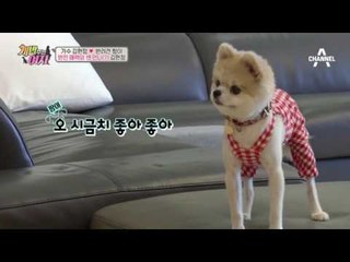[선공개] 반려견 전용 냉장고?! 방송 최초 공개! 김현정의 러브하우스