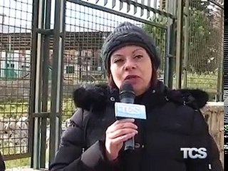 I detriti di salita Matteotti scaricati nel campo di bocce del quartiere Angeli