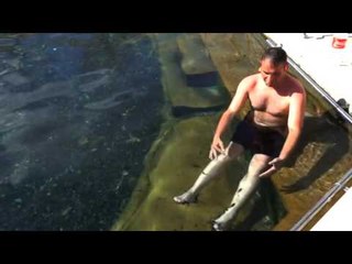 Anadolu Kaplıcaları - 3 Kasım 2015 Tanıtım - TRT Avaz