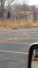 Man found hanging from tree in Ferguson