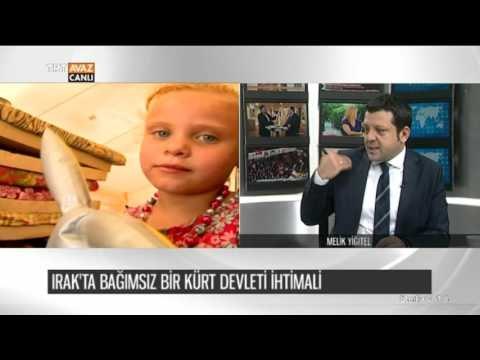 Irak'ta Kürt Devleti İhtimali - Akademisyenlerin Bildirisi - Melik Yiğitel - Detay 13 - TRT Avaz