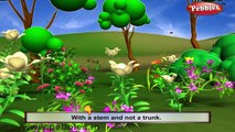 Wood Rose Rhyme | 3D Nursery Rhymes With Lyrics For Kids | Flower Rhymes | 3D Rhymes Animation