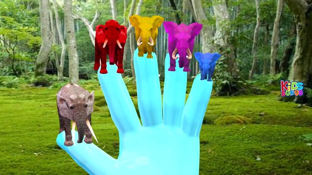 Animals Finger Family Songs | Animals Kids Songs | Wild Animals Baby Rhymes | Dinosaurs Videos