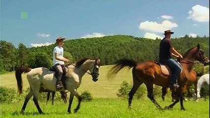 Spot TVP Bieszczady na platformie hybrydowej (lipiec 2015 r.)