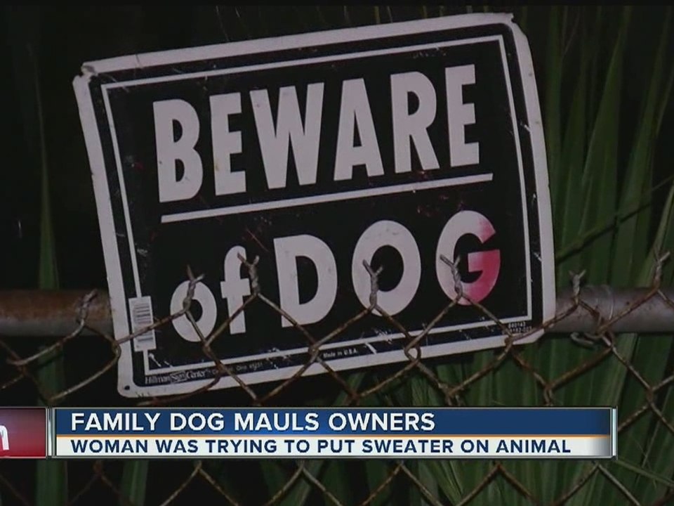 Dog mauls husband and wife after they tried to dress 'Scarface' in a sweater