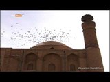 Ali Şir Nevai'nin Türkçe'ye Çevirmek İstediği Eser Mantıku't-Tayr - Asya'nın Kandilleri - TRT Avaz