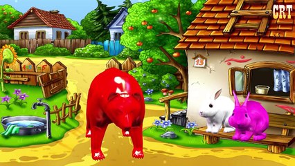 Learn Animation Color Song || Penguin 3D Animation Nursery Rhymes Collection