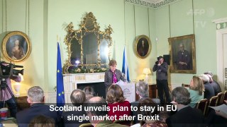 Scotland unveils plan to stay in EU single market after Brexit-kYePokflyJ8