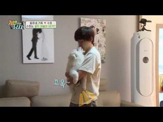 예술犬으로 거듭난 수호?! 작품을 지키려 힘쓰는 수호!