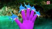 Sharks Vs Dinosaurs Attack & Battle Short Movie | Dinosaur Cartoon Finger Family Nursery Rhymes Kids