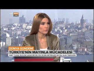 Descargar video: Türkiye'nin Mayınla Mücadelesi - Dünya Gündemi - TRT Avaz