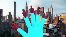 Finger Family Spiderman Vs Batman Cartoons For Children Nursery Rhymes | Ironman Finger Family