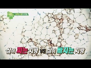 [예고] 지방의 두 얼굴! 살찌는 몸은 따로있다?_채널A_닥터지바고 68회