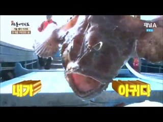 지금이 가장 맛있는 아귀! 아귀회로 맛보면 기절 _채널A_신대동여지도 123회