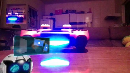 Câmera pega ladrão (49)