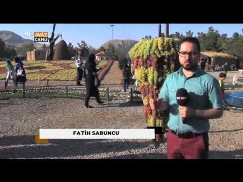 İran Urmiye'de 4. Üzüm Festivali - Devrialem - TRT Avaz