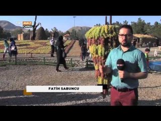 İran Urmiye'de 4. Üzüm Festivali - Devrialem - TRT Avaz