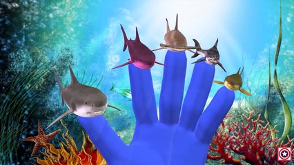 Shark Finger Family Children Nursery Rhymes Collection | Finger Family Shark Nursery Rhymes For Kids