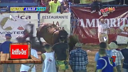 Micros Taurinos 31 Diciembre