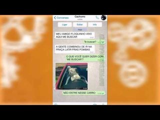 Conversas que você teria com seu cachorro se ele usasse WhatsApp