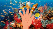 Finger Family Fish Nemo Nursery Rhyme | Animal Finger Family | Fish Finger Family for children