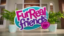 Hasbro - FurReal Friends - Pax, mein leh muss mal Hündchen / Pax, My Poopin Pup - TV Toys