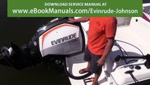 Problems with EVINRUDE ETEC G2 2 stroke motor REVIEW