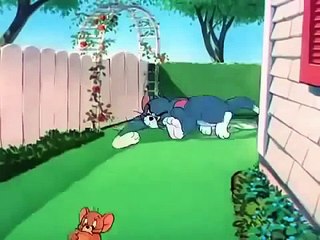 Tom And Jerry Cartoon in Urdu