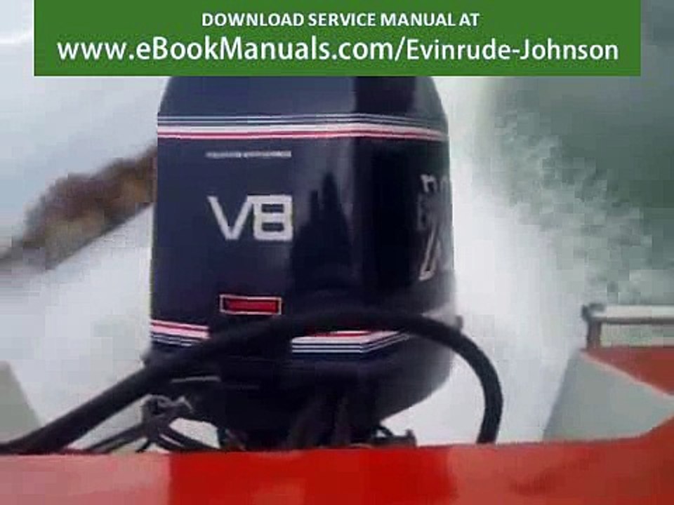 Piranha Carrera Evinrude XP 300 V8