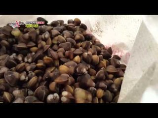 섬진강 재첩의 고향은 중국? 중국산 vs 국산 재첩 전격 비교