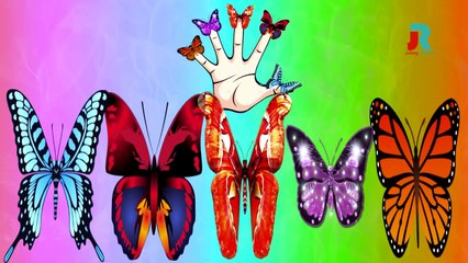 Butterfly Finger Family Rhymes for Children | Dady Finger Butterfly Song | Color Butterfly Rhyme