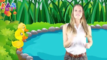 Five Little Ducks Went Out One Day | Action Songs For Children | Kids Action Songs