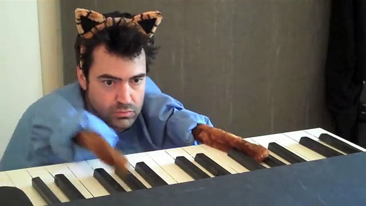 Keyboard Cat Redux