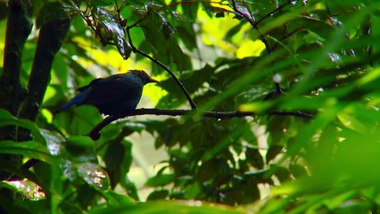 Most Beautiful Places in the World The Beauty of this Nature