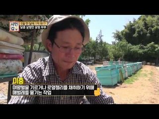 일벌 빙의! 양봉가의 성공 보장 1년 플랜은?!