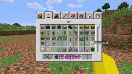 マイクラ整地 (5)