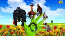 Gorilla Dragan 3d Animals Finger Family Nursery children rhymes | Gorilla,Horse,Dragon,Dog,Sheep
