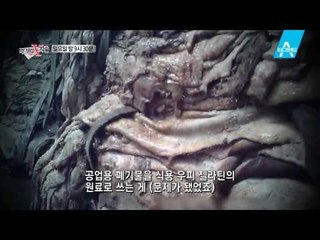 [예고] 우리도 모르게 먹고 있었던 젤라틴의 실체!