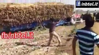 Whatsapp Video  Punjabi Boys Funn With Tracktors   Too Funny Video