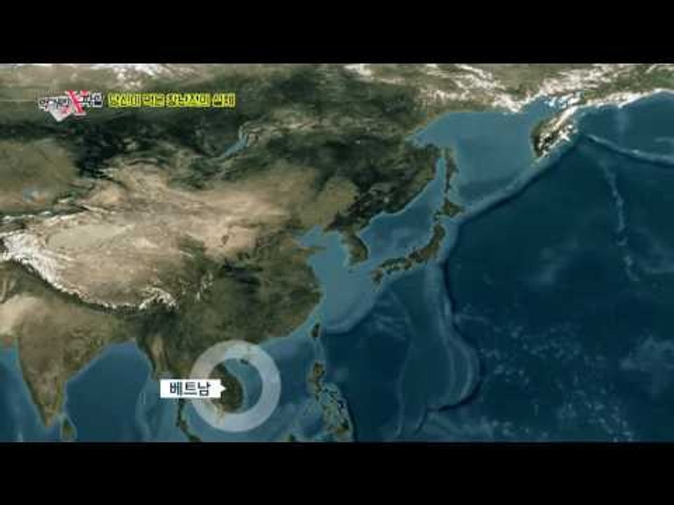 당신이 먹은 ‘창난젓’의 실체! 베트남산 메기 내장으로 만들었다?!