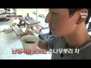 소나무뿌리로 퇴행성 관절염 극복?!