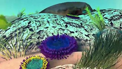 Australia's Great Barrier Reef