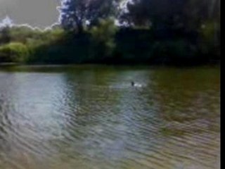 просто лето